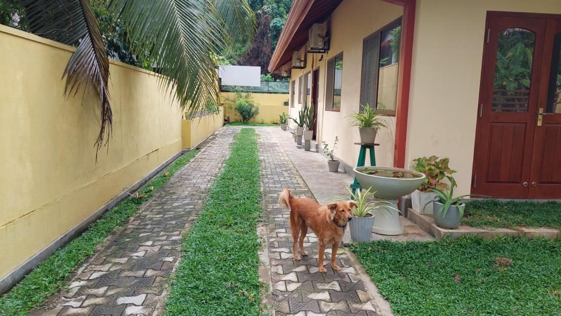 El-Nivasa Villa In Weligama Dış mekan fotoğraf