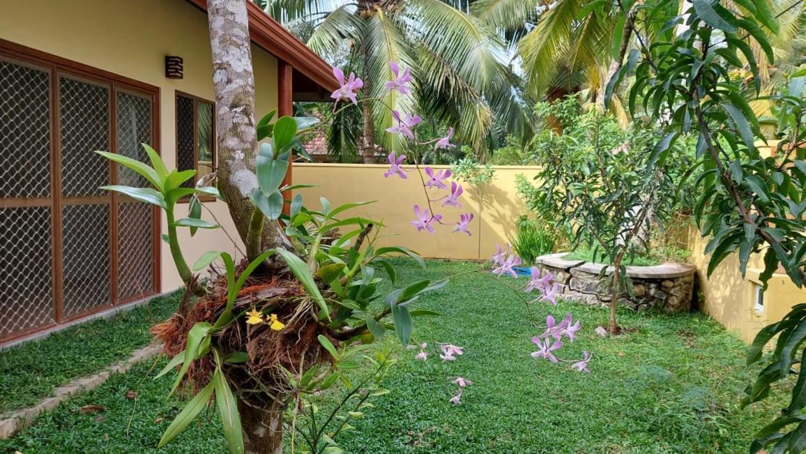 El-Nivasa Villa In Weligama Dış mekan fotoğraf